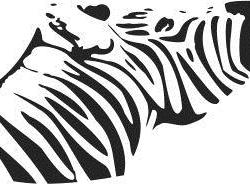 Štamparija Zebra