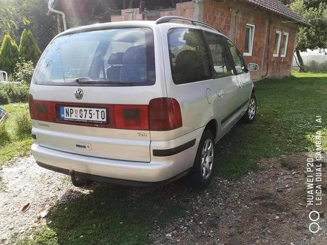 Šaran