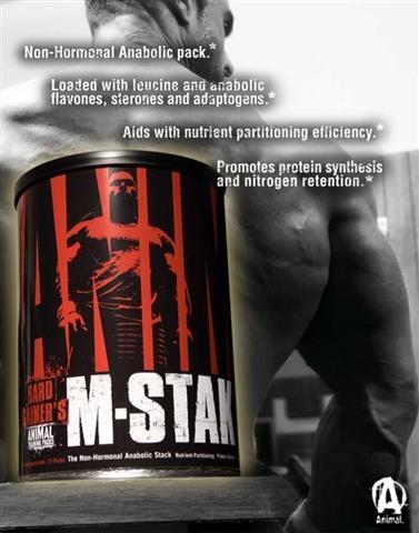 ANIMAL M STAK