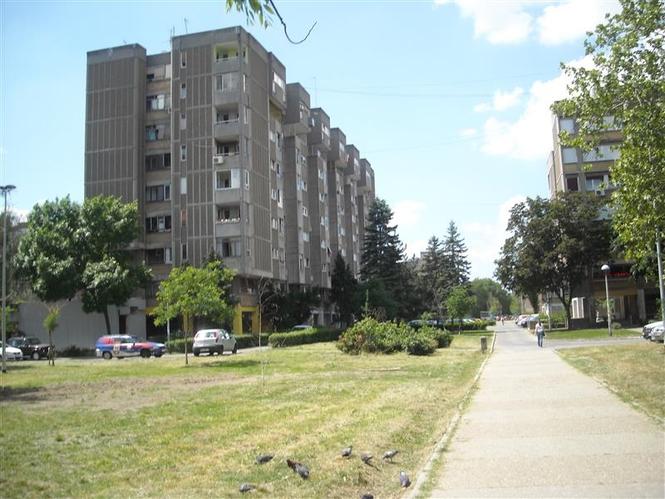 Menjam dobar stan u NOVOM SADU za BEOGRAD