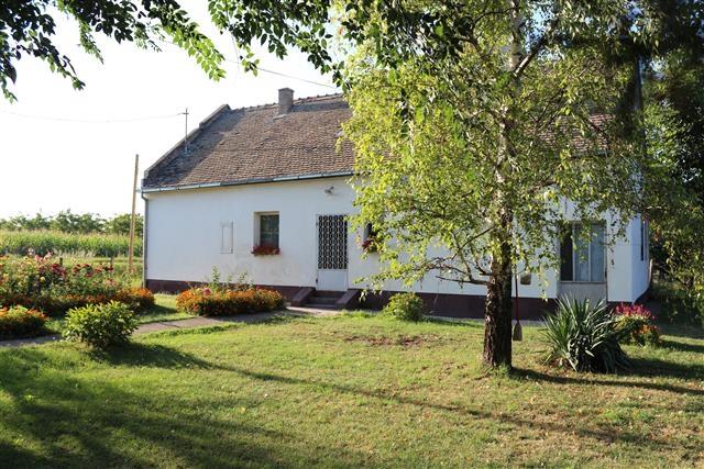 Plac-7000m2--na-Ceneju