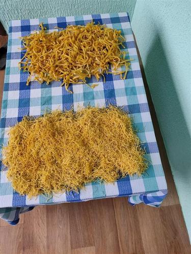 Domaći  Rezanac