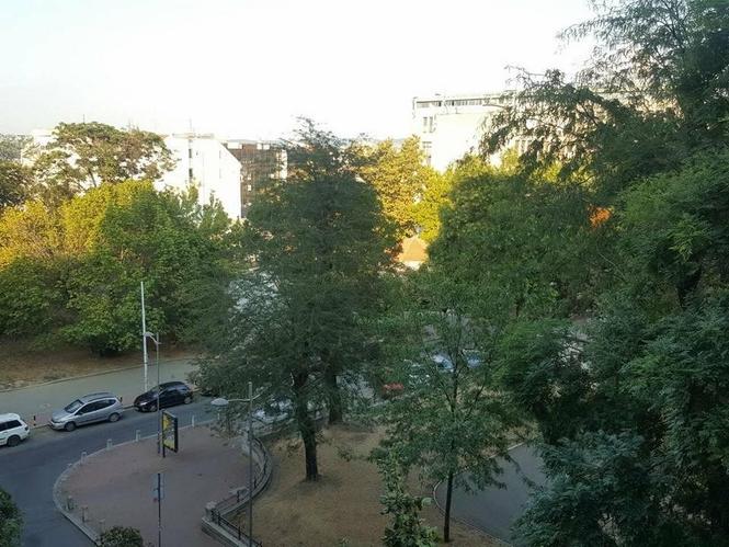Strogi centar, polunamesten stan 