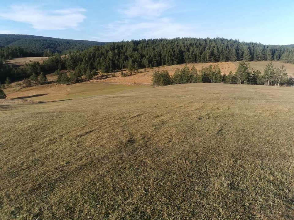 Placevi-Tara-i-Kremna