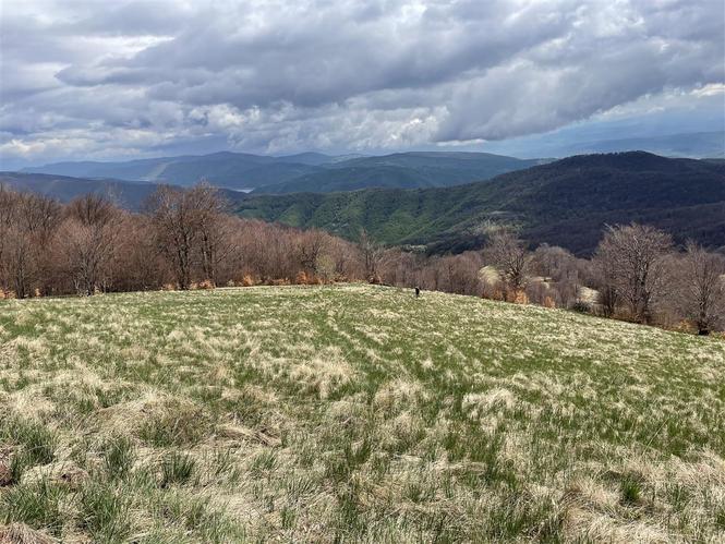 Stara planina, parcela 40ari