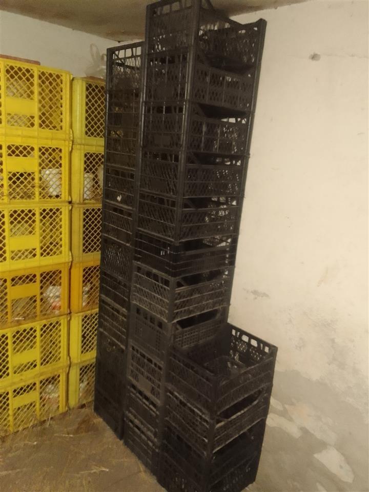Plastične-gajbice-30-40-20cm