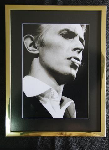Modesty--Bowie-Pin-up---