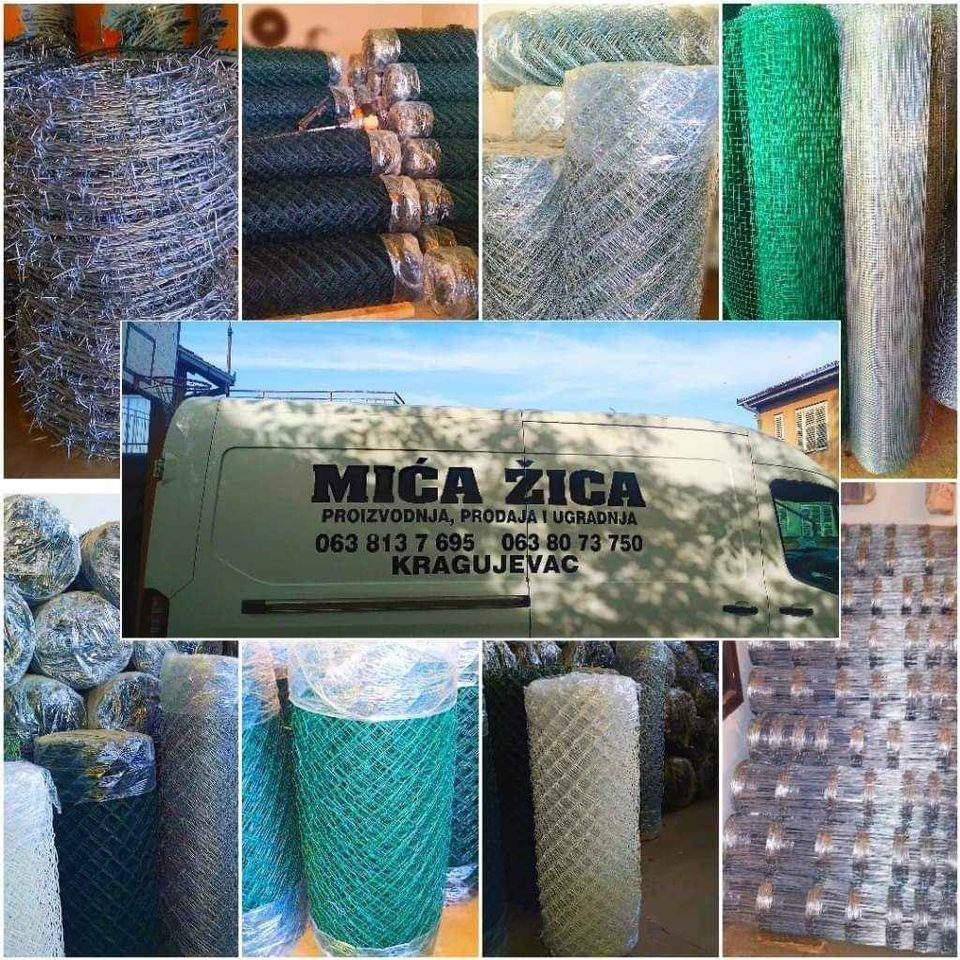 Zica