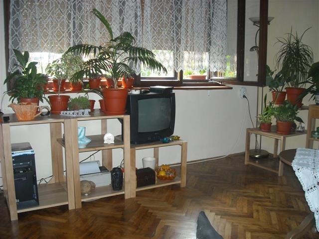 Dejan-stolar