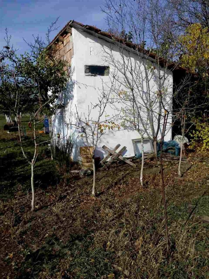 Vikendica-sa-voćnakom