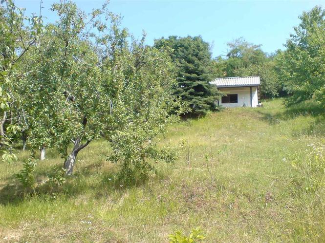 Vikendica Sremski Karlovci