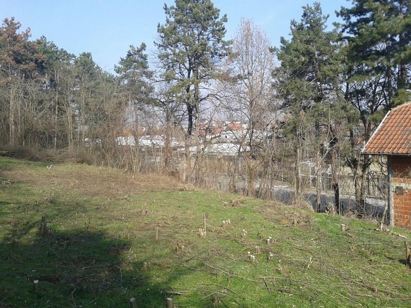 Plac-u-Jagodini