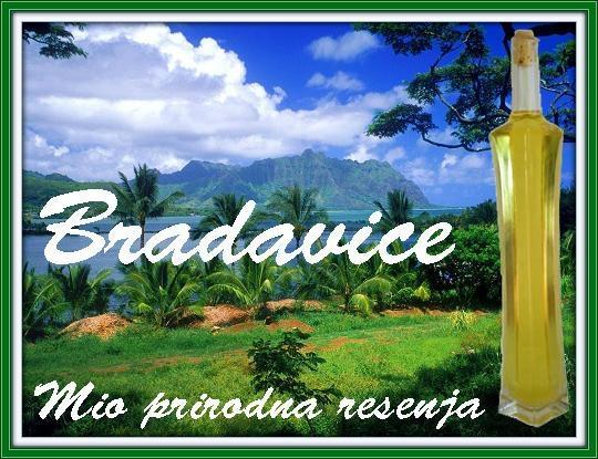 Bradavice