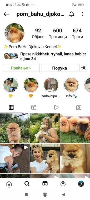Malti-poo