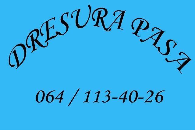 Dresura-pasa