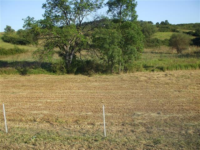 Njiva-od-6700m2-u-Umcarima