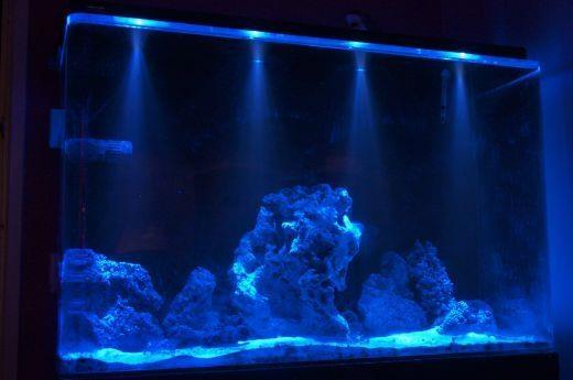 Aquarium-Moonlight-50cm---6Led-+-3Gratis