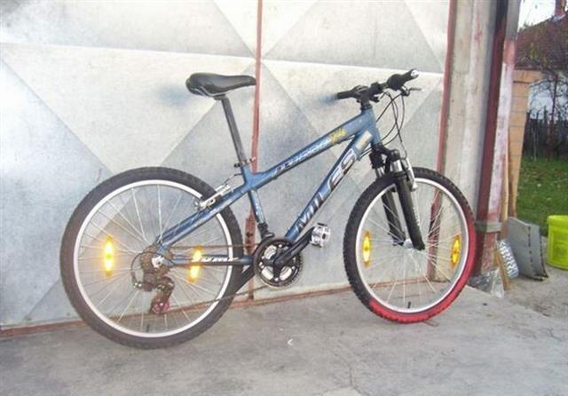 MTB-Milles-24-cola