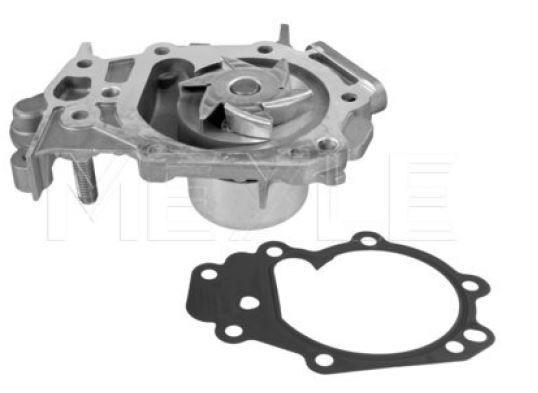 odena pumpa Renault Twingo
