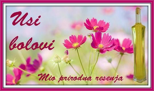 Bol u usima