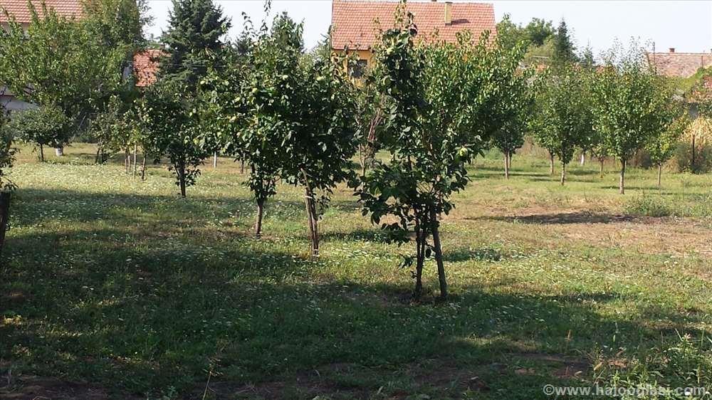 Prodaja-placeva