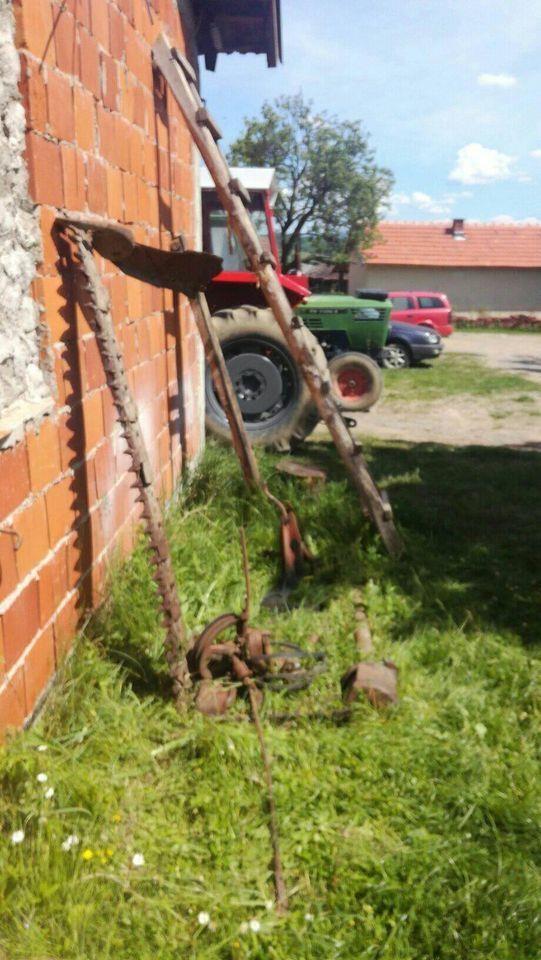 Kocacica-dubrava