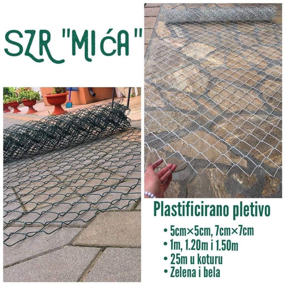 Zica