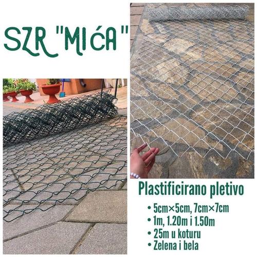 Zica