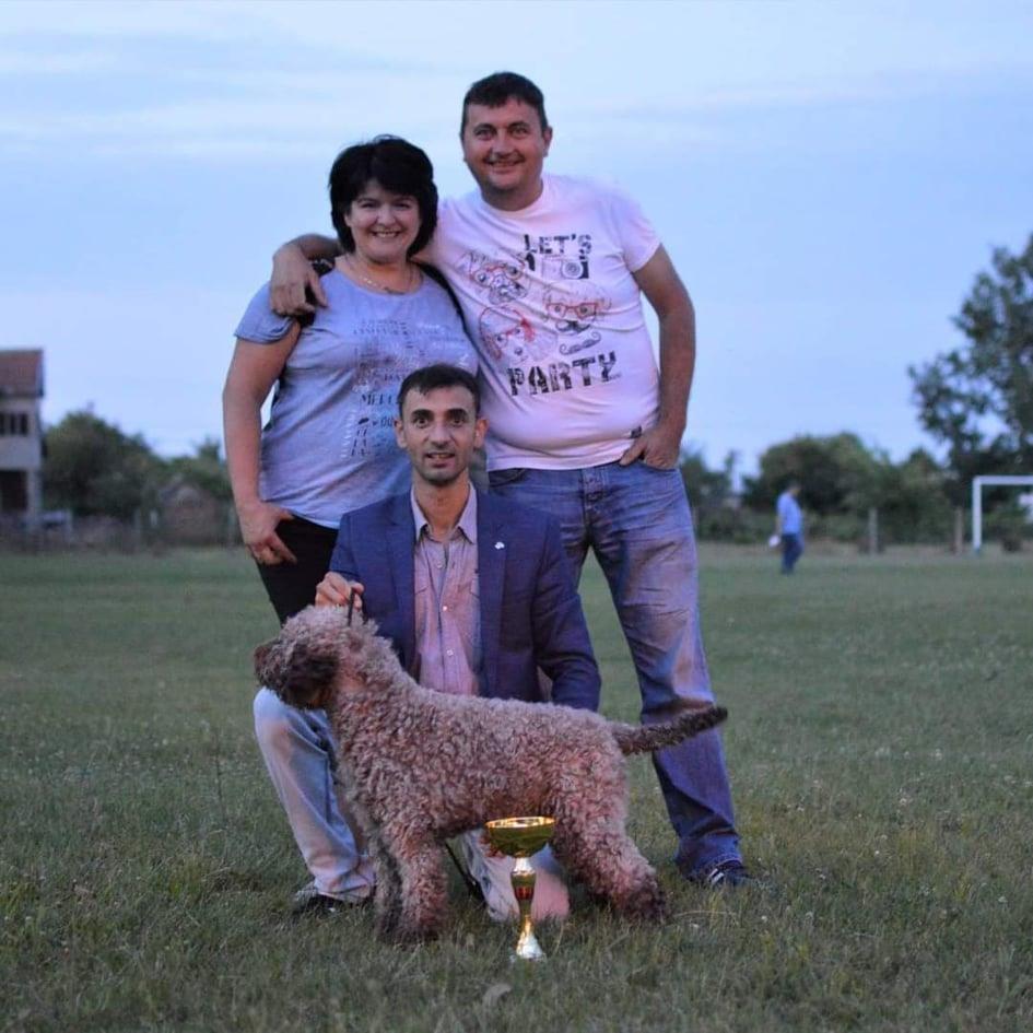 Lagotto-Romagnolo-