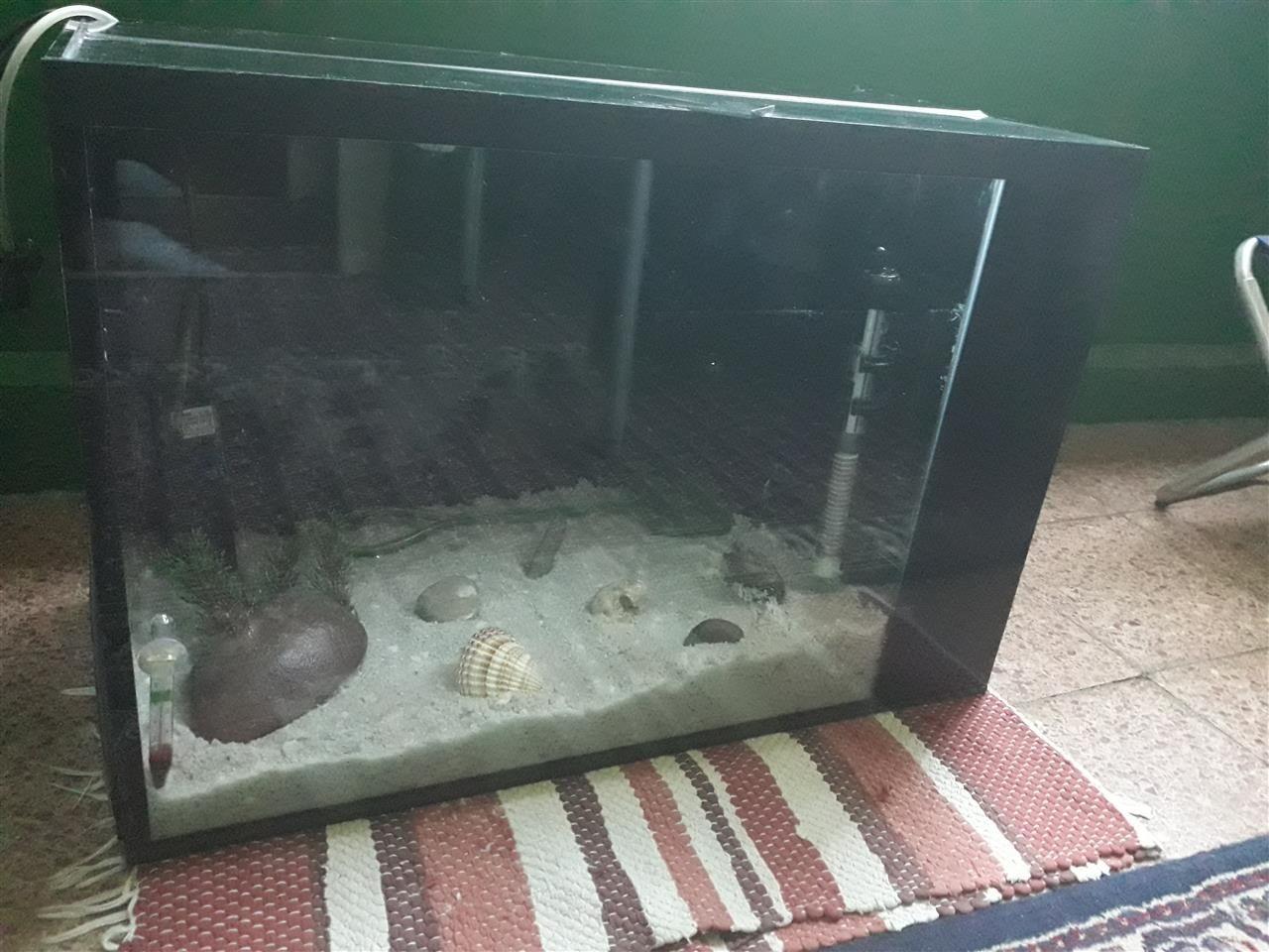AKVARIJUM