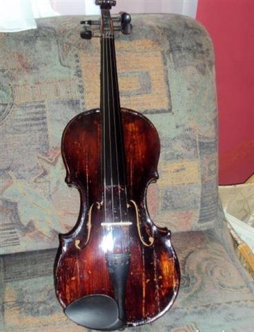 Violina farkas