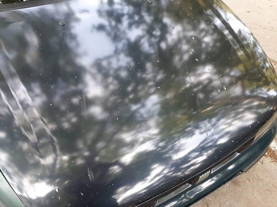 Fiat-Bravo
