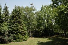 Kuca od 90m2 na mirnom mestu