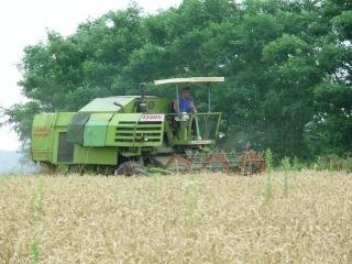 Claas-Consul