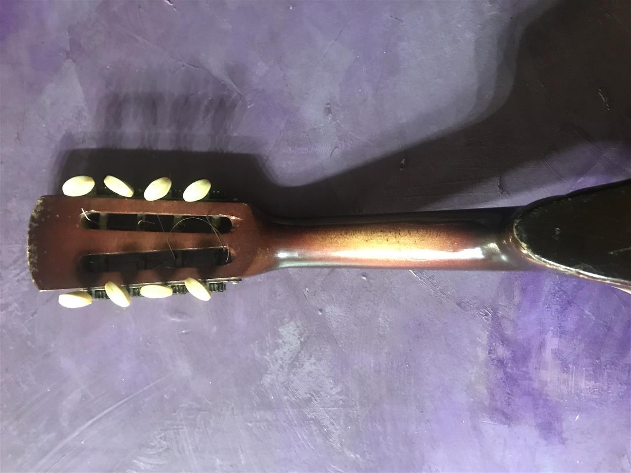Mandolina