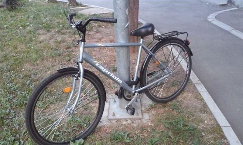 Capriolo-HTS