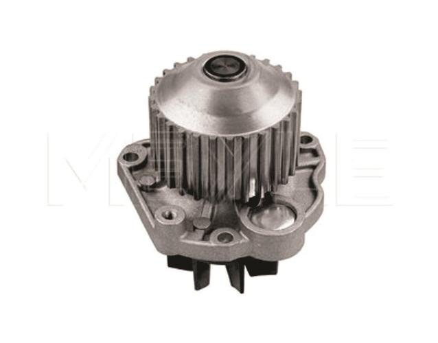vodena pumpa Citroen 