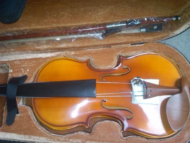 Violina
