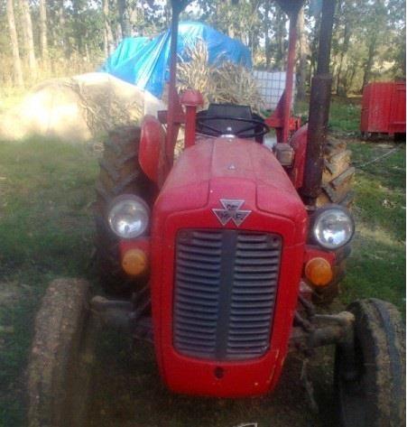 Massey Ferguson masey ferguson