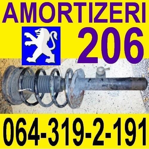Amortizeri 206