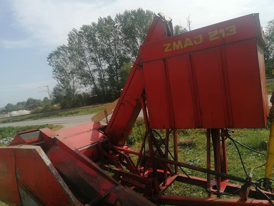 Berac-Zmaj213
