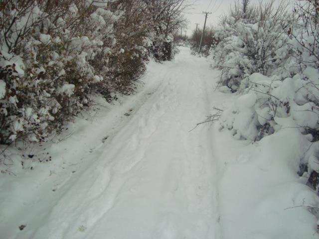 Plac-1000-m2-u-Leskovcu