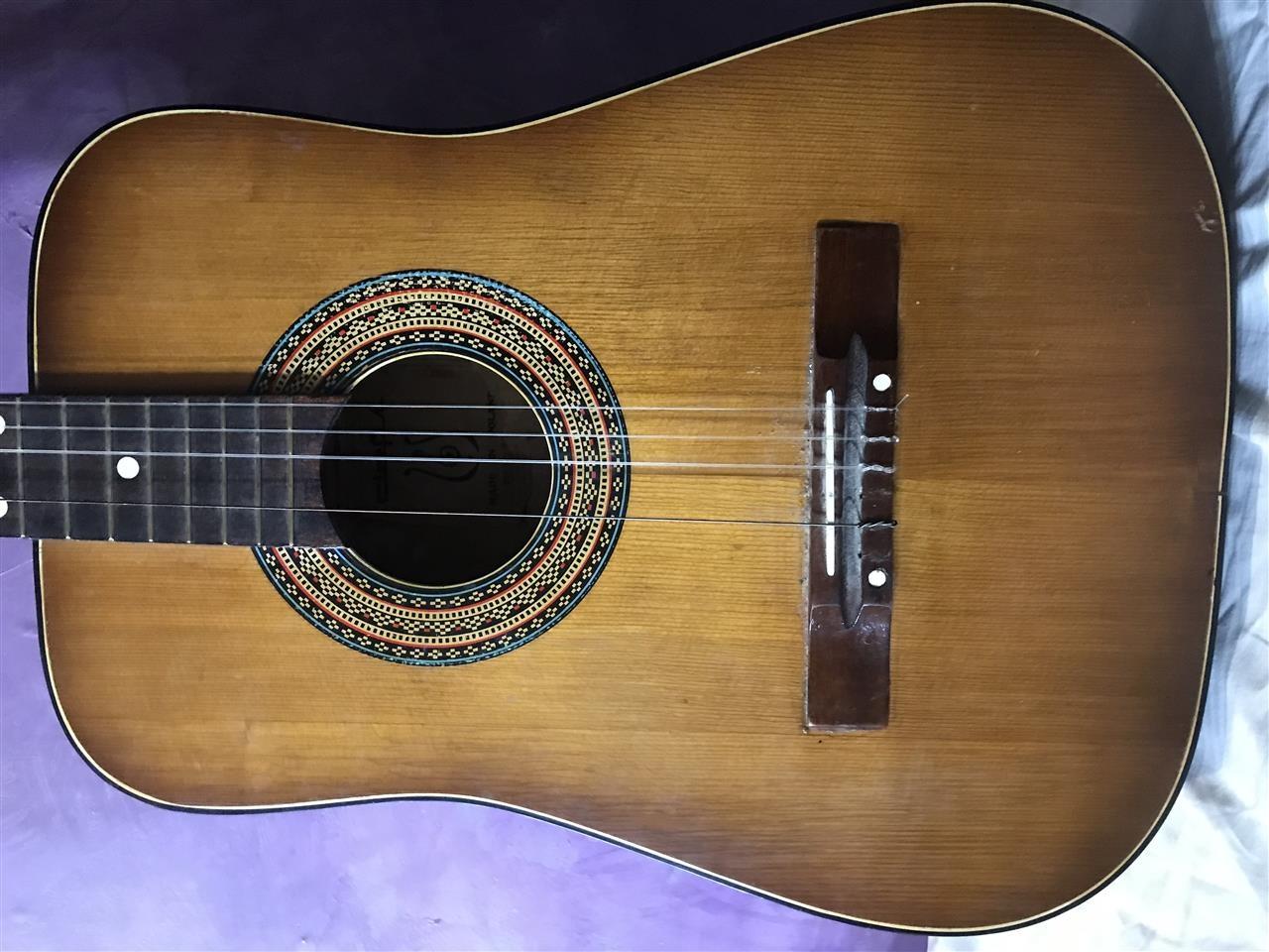 Poljska-gitara