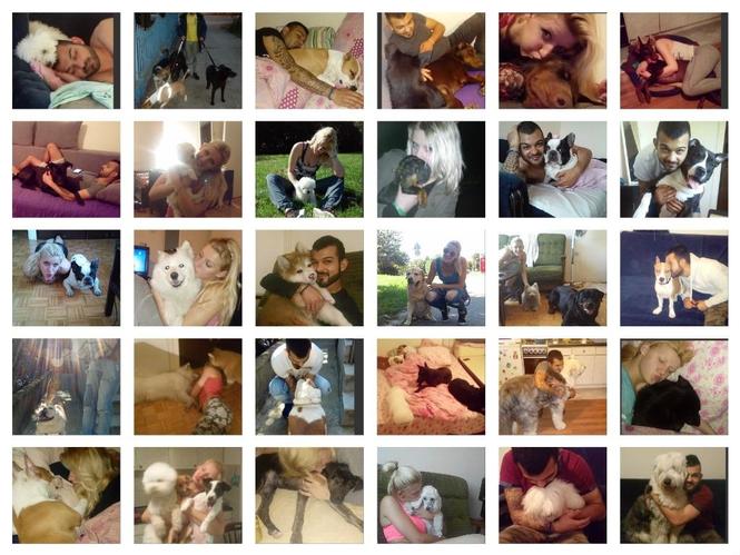 CUVANJE KUCNIH LJUBIMACA