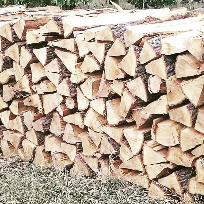 Ogrevno-drvo-0616464104