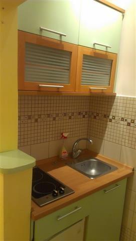 Izdaje-se-stan-33m2-Centar-Palilula