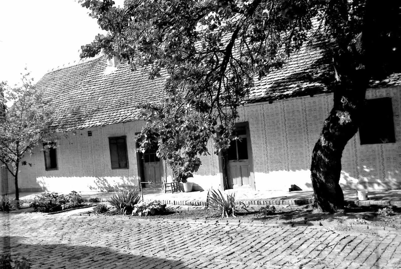 2-kuće-i-plac-u-Bačkom-Brestovcu