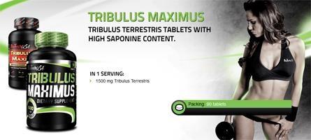 TRIBULUS MAXIMUS