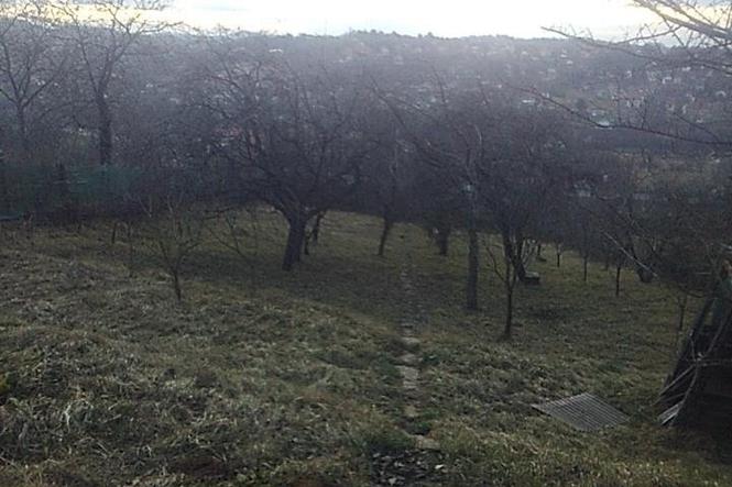 prodajem,izdajem