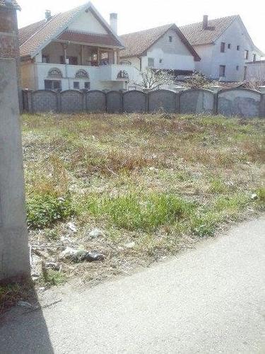 Plac uz Zrenjaninski put